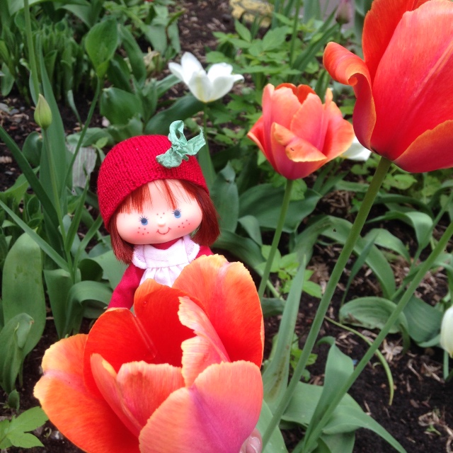 Весенне-земляничное настроение