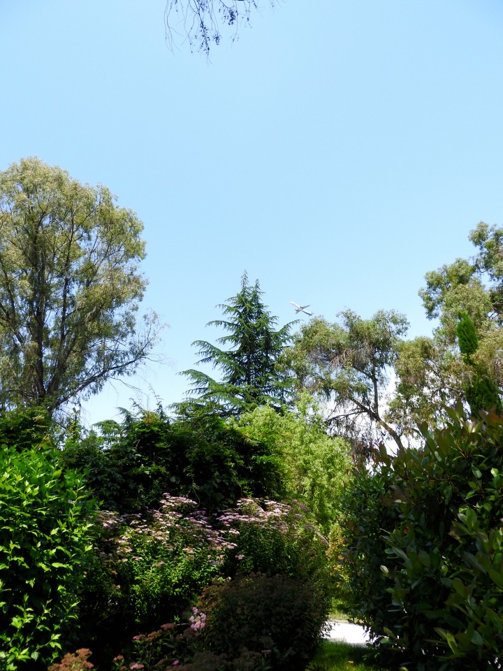 Краснодарский Край, Сочи-Адлер, Санаторий «Южное Взморье»