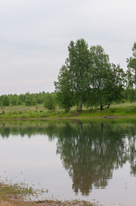 Лето, травка и "дикий" купальник