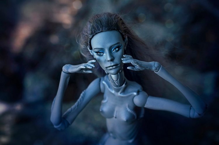 Музыка ветра — Домашние фото авторских кукол: личные коллекции (фото 7)