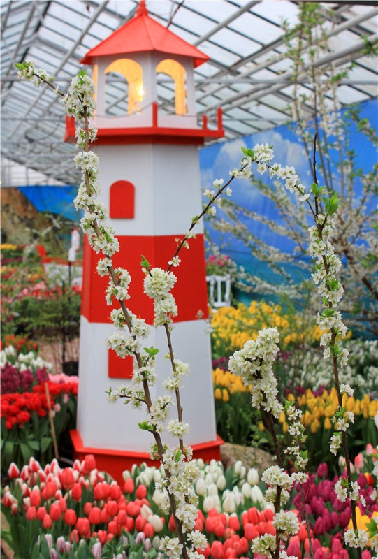 Тюльпановый Рай. Выставка тюльпанов в Твери. Mini Layla elf Sunkissed skin от Kaye Wiggs (фото 3)