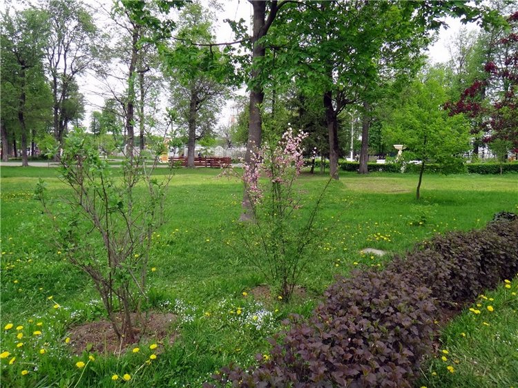 Милый мой город. Прогулка по Твери, заключительная часть