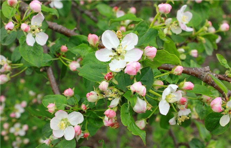 Женя-путешественница — Советские винтажные куклы (СССР): Ленигрушка