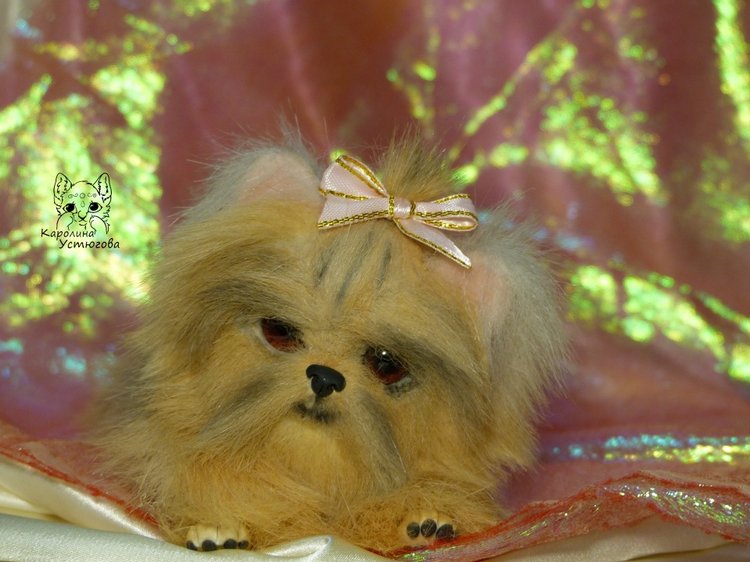 Еще один щенок Йоркширского терьера (фото 8)