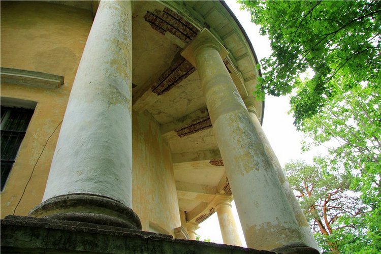 Путешествие с Бенни — Культура