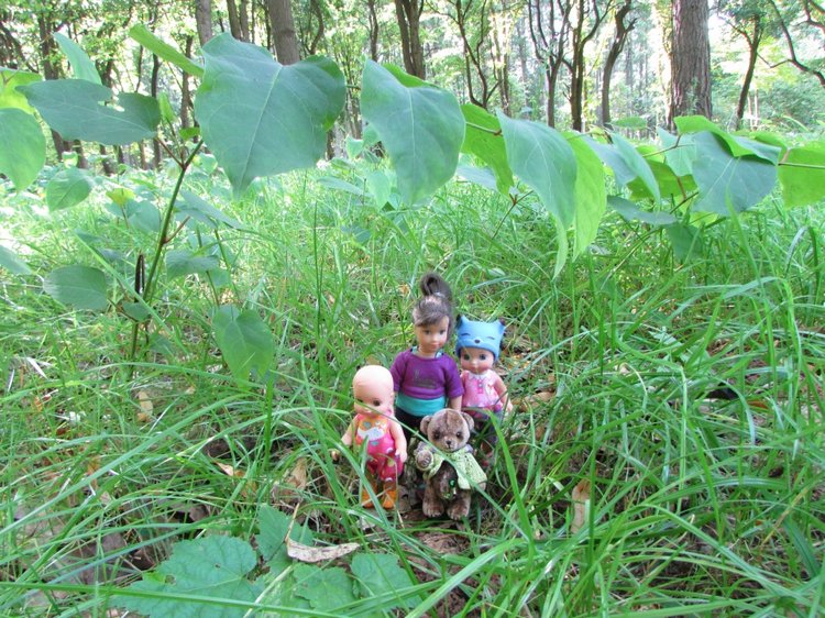 Малышня на прогулке в Бирюлёвском дендропарке