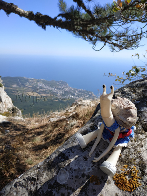 Wonderfrog. Красота в простоте. Часть 3