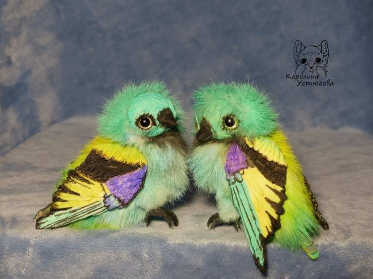 Зеленоголовая танагра, чудо птичка