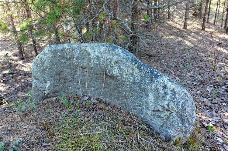 Долгая дорога к Волге. Custom Blythe Doll UFO Go Go Takara