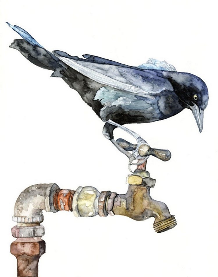 TheColorfulCatStudio - Иллюстрированная фауна by Rachel Byler