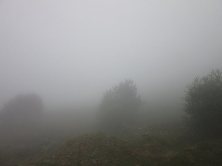 Джилы-Су в тумане — Туризм и путешествия: фотоотчеты из поездок