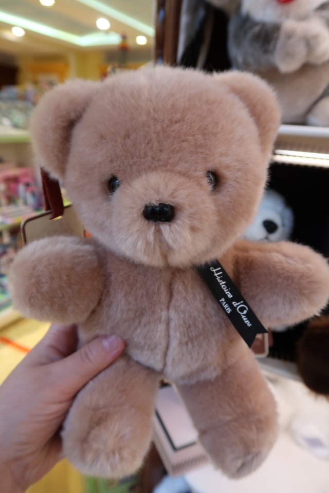 Знакомьтесь, новый вид медведей - медведь сумочный