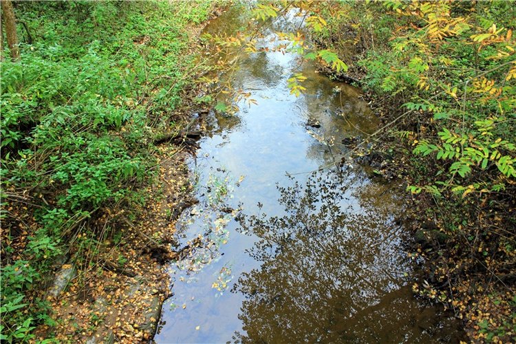 "Бабье Лето" на Водопаде, продолжение (фото 3)