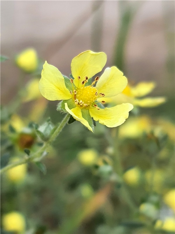 Путешествие по Святым местам Тверской области, продолжение