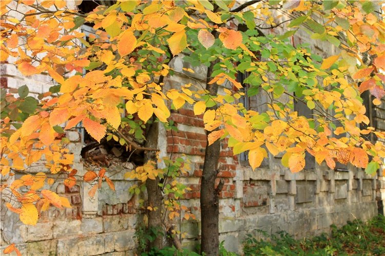 Путешествие Dal Hangry в Грузины, продолжение