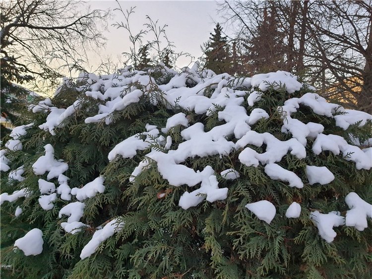 Декабрьская Тверь — Туризм и путешествия: фотоотчеты из поездок