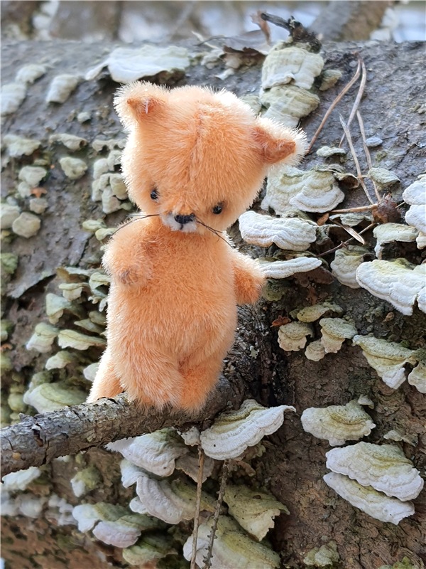 Малыши. Авторские игрушки Труничевой Ирины (фото 6)