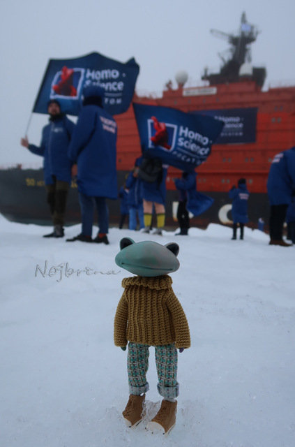 Большое путешествие Кензо. Арктика. Северный полюс