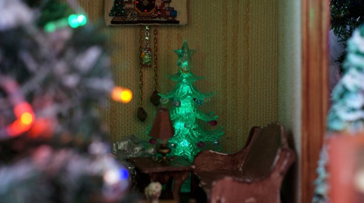 Новогодний вечер — Другие хобби и увлечения: сад