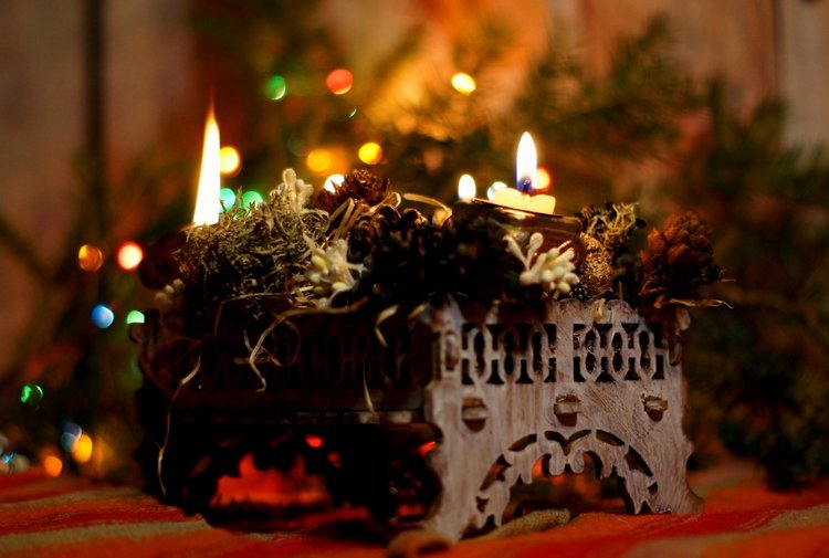 Новогодний вечер — Другие хобби и увлечения: сад (фото 3)