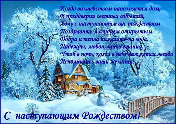 Киши у Рождественской Елки