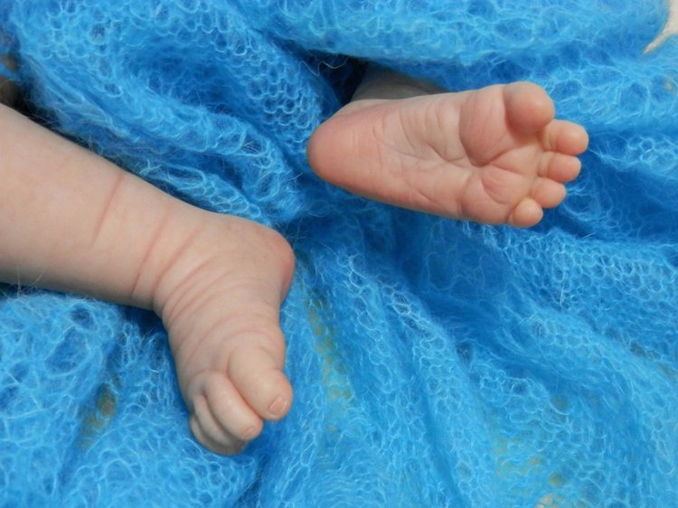 Хомячок Сили. Кукла реборн Шутовой Анны