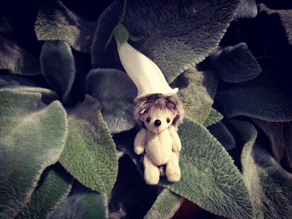 Большая дружба маленьких друзей (фото 4)