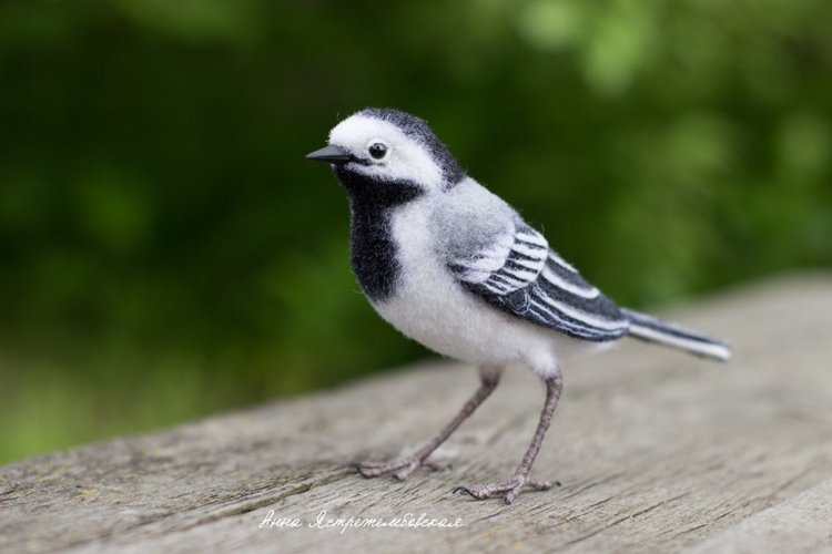 Белая трясогузка — Валяные игрушки из шерсти: сухое валяние