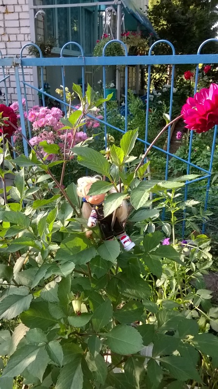 Девчонка по имени Женька-подарок форумчанки Анечки