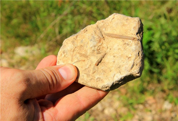 Старицкая Швейцария. Старицкие пещеры, д. Толпино, заключительная часть