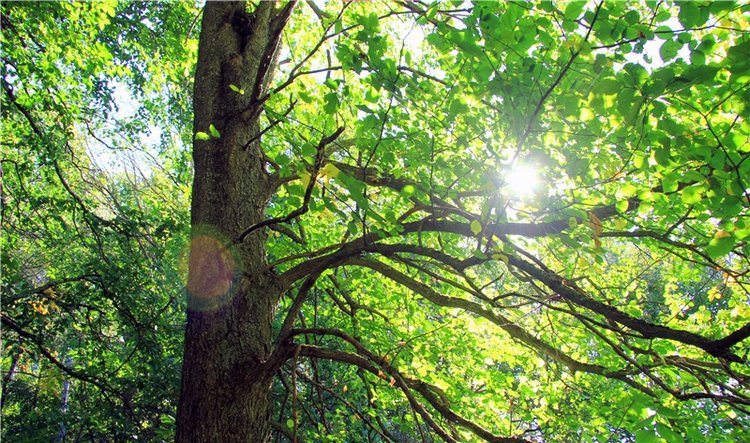 Старицкая Швейцария. Старицкие пещеры, д. Толпино, заключительная часть