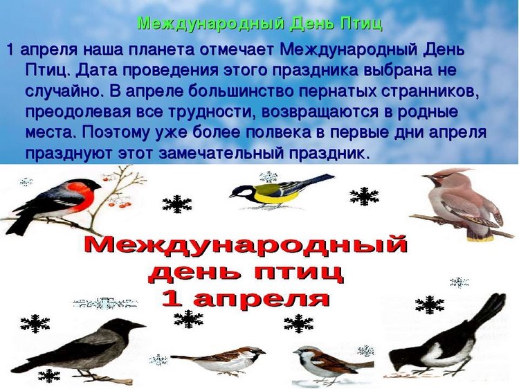 1 апреля — Международный день птиц