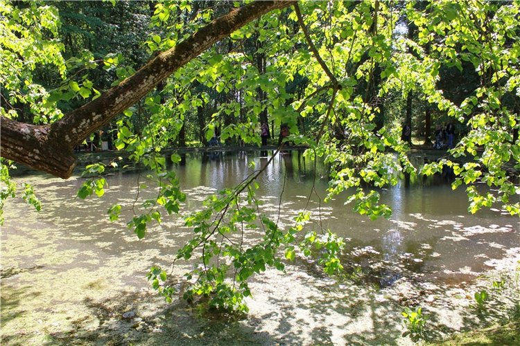 Я к Вам лечу воспоминаньем...Пушкинский праздник поэзии в Берново, 2019 год