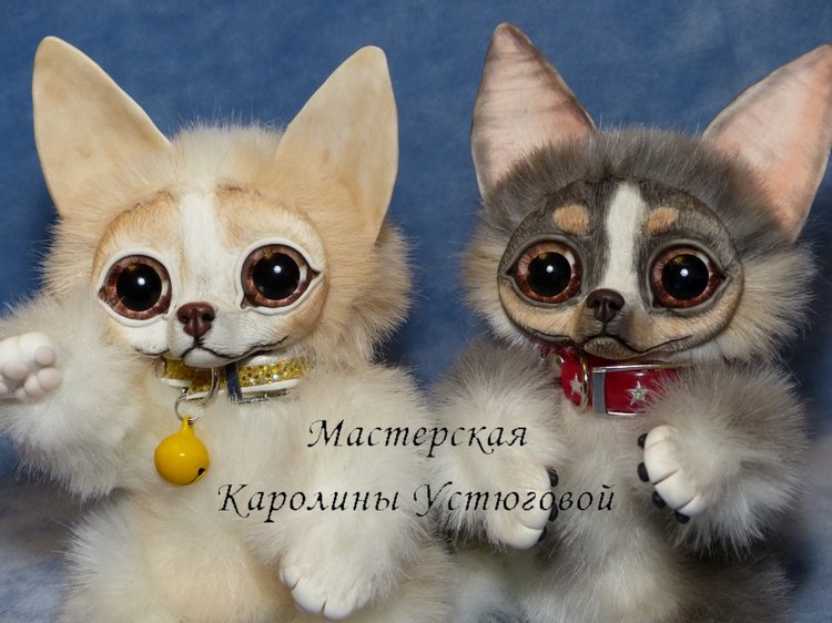Чихуахуа, веселые собачки. Арихв 2016 год