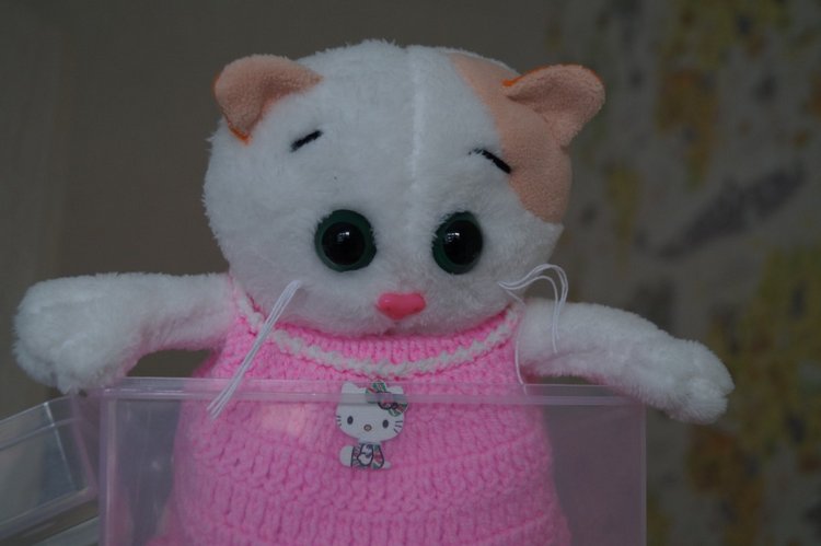 Как Агаша кошечку шила — Другие хобби и увлечения: сад