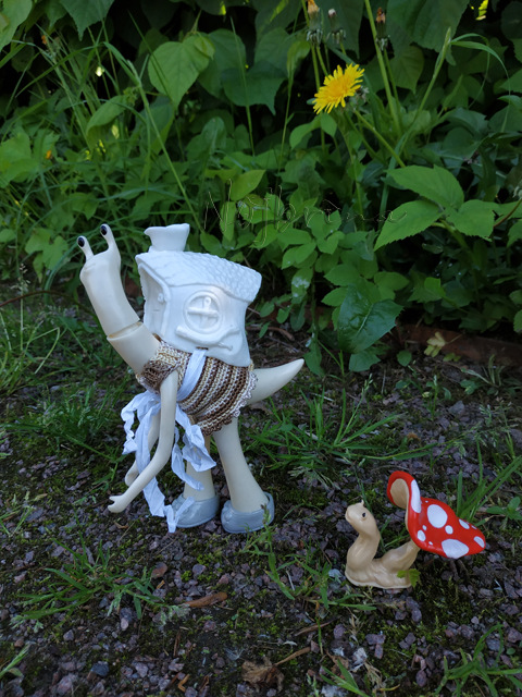 Wonderfrog. Красота в простоте