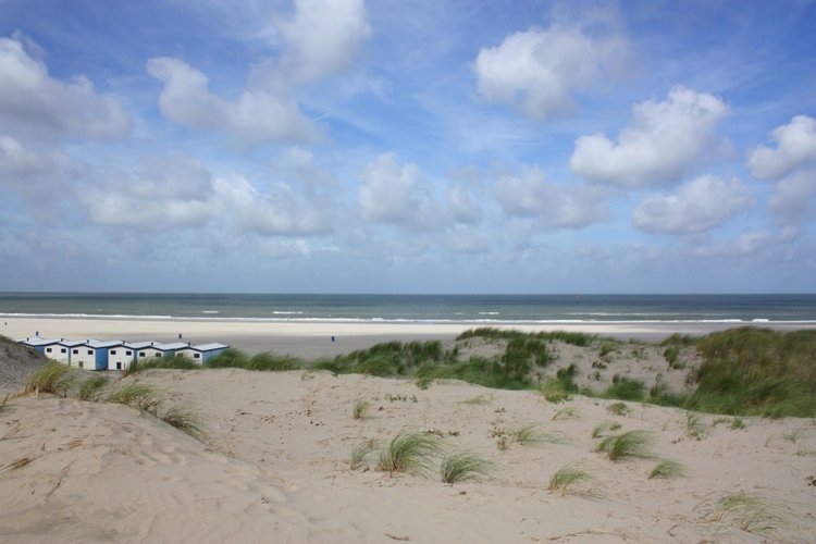 Мисс Бэйбики 2019. Ночная фотосессия в купальнике - часть первая | Бэйбики Мисс Бэйбики 2019. Ночная фотосессия в купальнике - часть первая (фото 4)