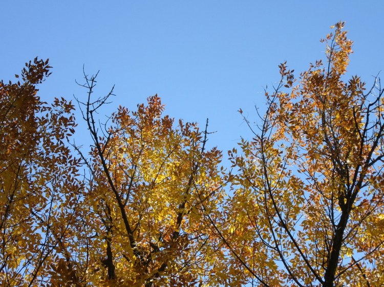 Выходной с Хеленой в Таганроге