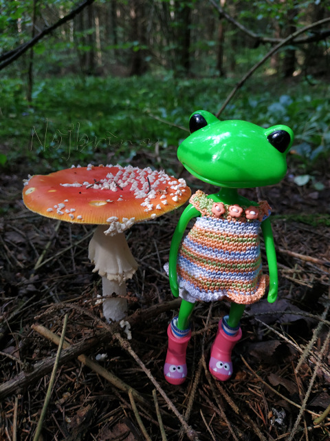 Wonderfrog. Красота в простоте. Часть 2