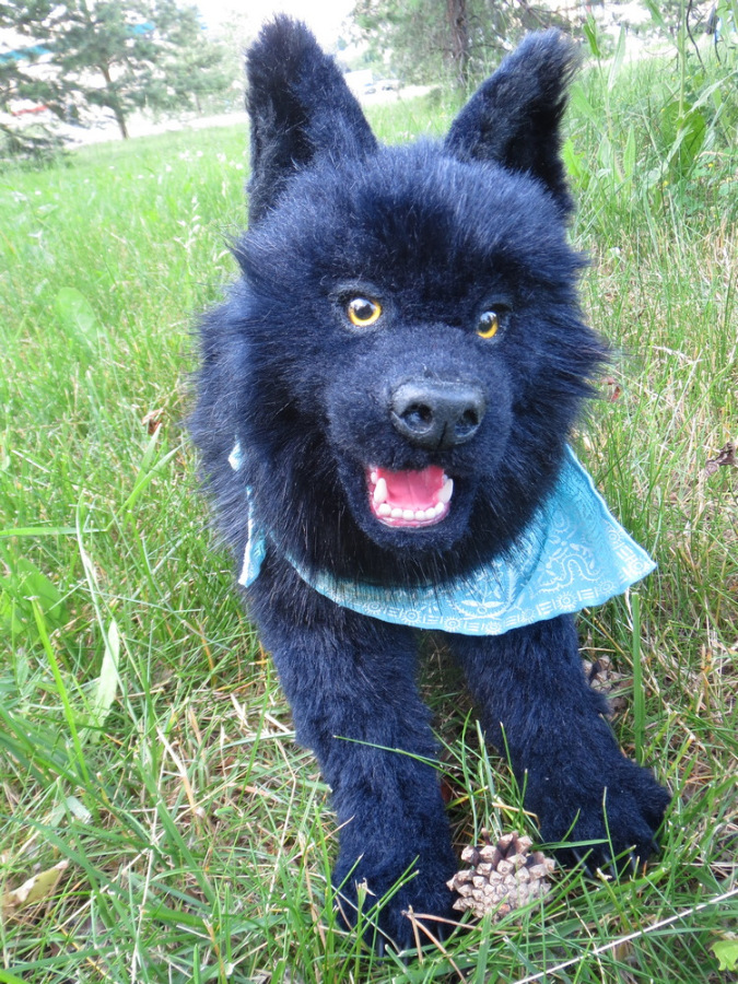 Мой домашний волчок — Домашние фото авторских игрушек: Тедди