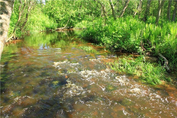 Затерянный Мир — Красивая природа и цветы: фото пейзажей (фото 8)