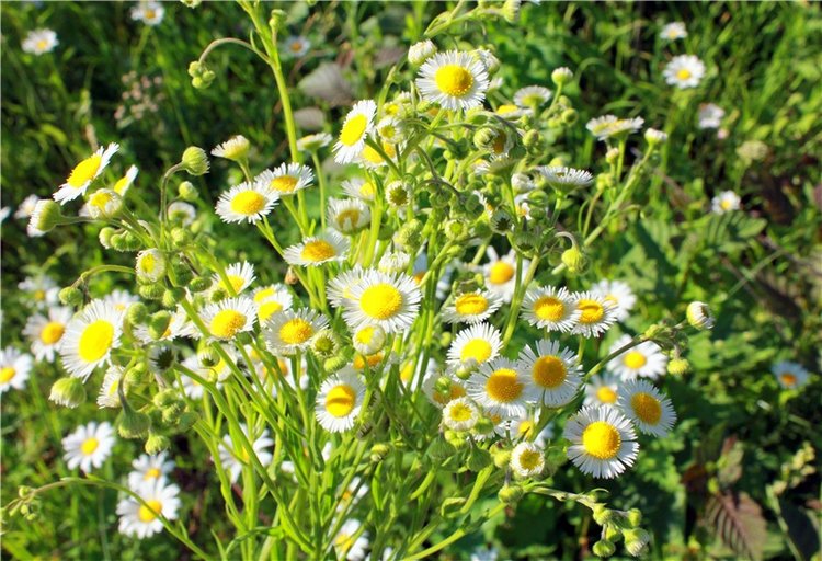 Путешествие Эли на красивый берег реки Волги