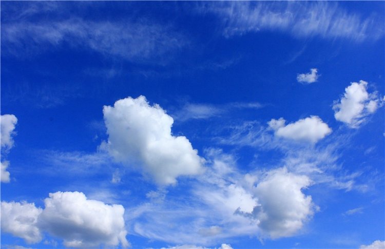 Путешествие Эли на красивый берег реки Волги