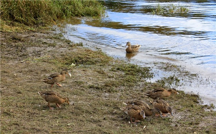 Июльское путешествие в Старицу