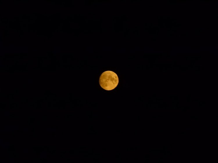 Отдых в деревне с Джой — Туризм и путешествия: фотоотчеты из поездок