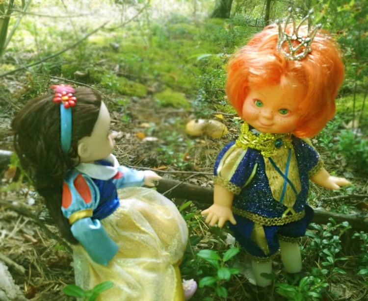 Осеннею порой под старою сосной... Принц, Белоснежка и гномы... встречаются (фото 3)