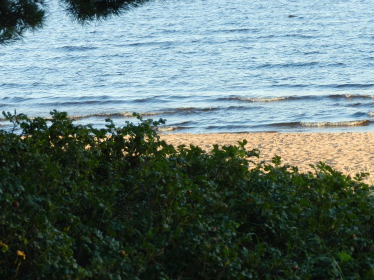 Немного позитива с Финского залива