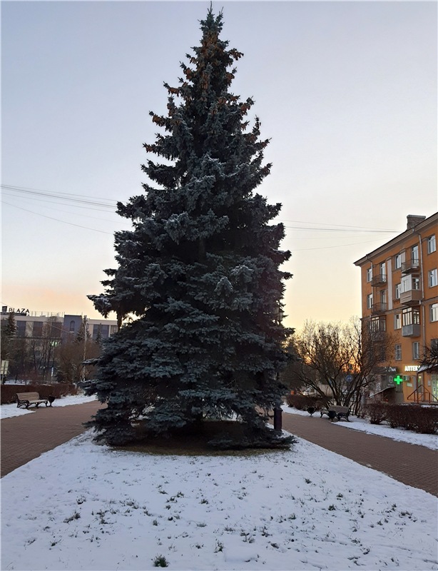 Декабрьская Тверь — Туризм и путешествия: фотоотчеты из поездок