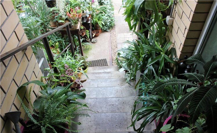 Тверской Ботанический Сад