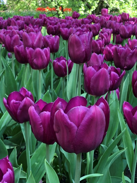 Тони Старк: приключения без брони. Был месяц май, половина вторая